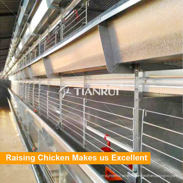 Automatic controlled poultry house for broiler